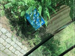 -牛背梁国家森林公园