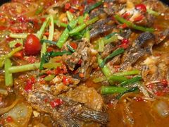 -老板恋上鱼(恒隆广场店)