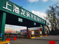 -上海龙吴水胜海发市场