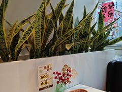 -卡朋西餐(铂顿城店)