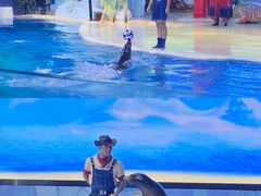 -三亚海昌梦幻海洋不夜城