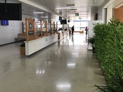 -首都医科大学附属北京潞河医院
