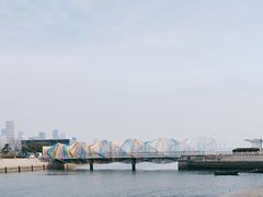 -琴岛之星摩天轮