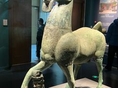 -广西壮族自治区博物馆