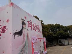 -南汇桃花村