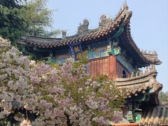 -洛阳白马寺