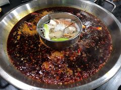 鸳鸯锅-星鸿社重庆老火锅
