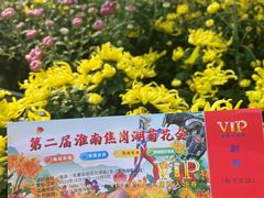 -焦岗湖影视城
