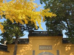 -灵岩山风景区