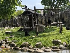 -上海野生动物园