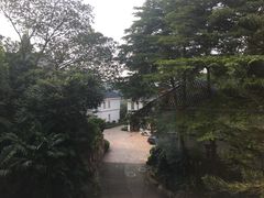 -枫盈轩中餐厅(枫丹白鹭酒店)
