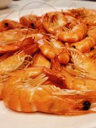 -喜爱轩酒楼·宴会厅