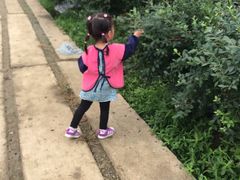 -森田蓝莓采摘园