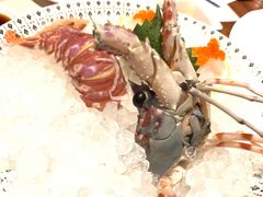 -Mr·Fish鱼鲜生海鲜放题(银泰in99店)