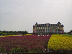 -百万葵园