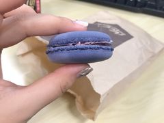 -麦当劳(新洲南路店)