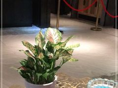-海鼎荟海鲜姿造(仟禧汇店)
