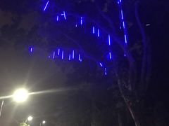 -草山夜未眠景观餐厅