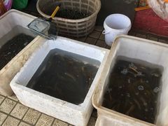 -江杨农产品批发市场