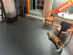 -博纳私人订制健身(中集美兰湖店)