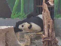 -南昌动物园