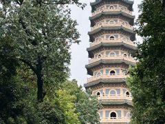 -灵谷景区