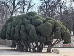-丽池公园