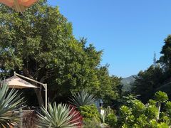 -Brew Farm·精酿农场海滨悬崖餐厅