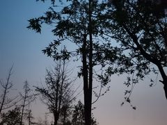 -白鹭湾湿地公园