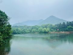 -红星美凯龙(浦江店)