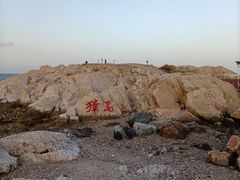 -养马岛旅游度假区