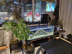 -MONANA蛋糕研究所