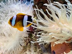 -太平洋海底世界