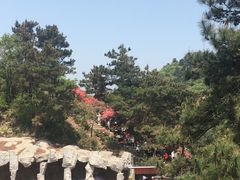 -木兰云雾山