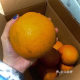 风味浓甜芳香每次切的时候