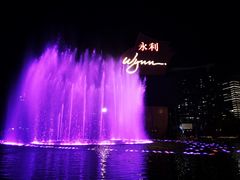 -永利澳门酒店