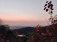 -香山公园