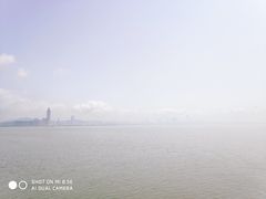 -宝安西湾红树林湿地公园