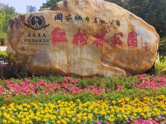 -大亚湾红树林城市湿地公园