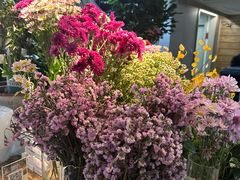 -春暖花开(西溪店)