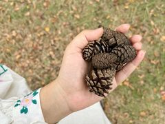 -白塘生态植物园