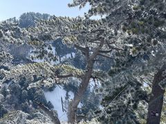 -华山风景名胜区
