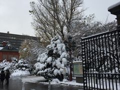 -北海道厅旧本厅舍(旧本庁舎)