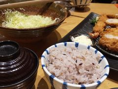 -胜博殿日式炸猪排(悠唐店)