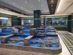 -帝皇海海鲜豆捞(桐泾商务广场店)