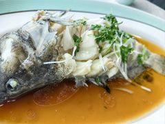 -巧克力渔家.小船海鲜胶东菜(万平口店)