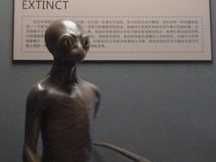 -海河外滩公园