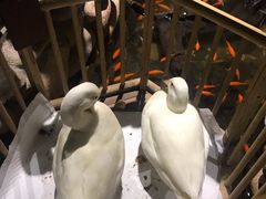 -馬蘭花開(车站大道店)