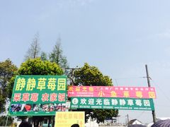 -小鱼草莓采摘园农家乐·小鱼餐厅