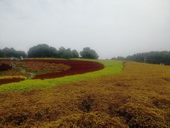-保利石象湖景区